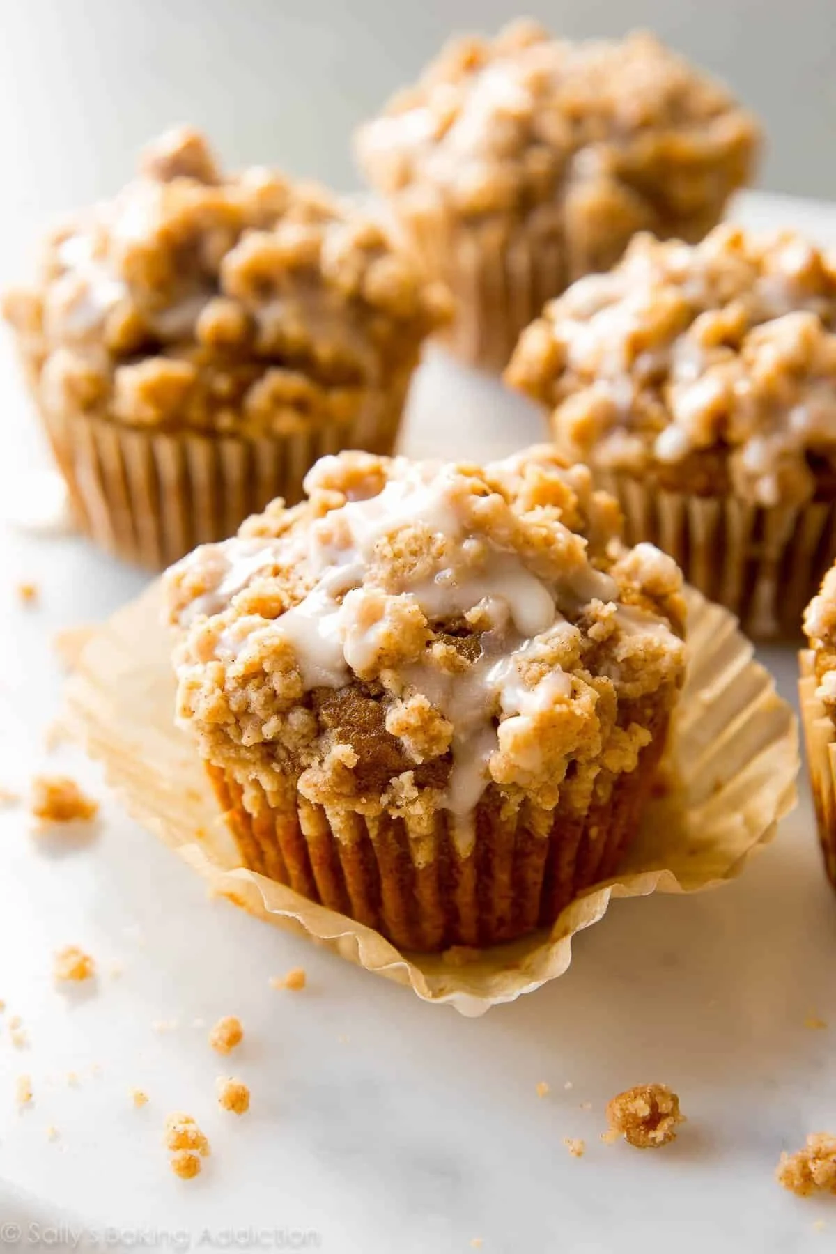 Delicious Pumpkin Crumb Cake Muffins topped with crumb topping